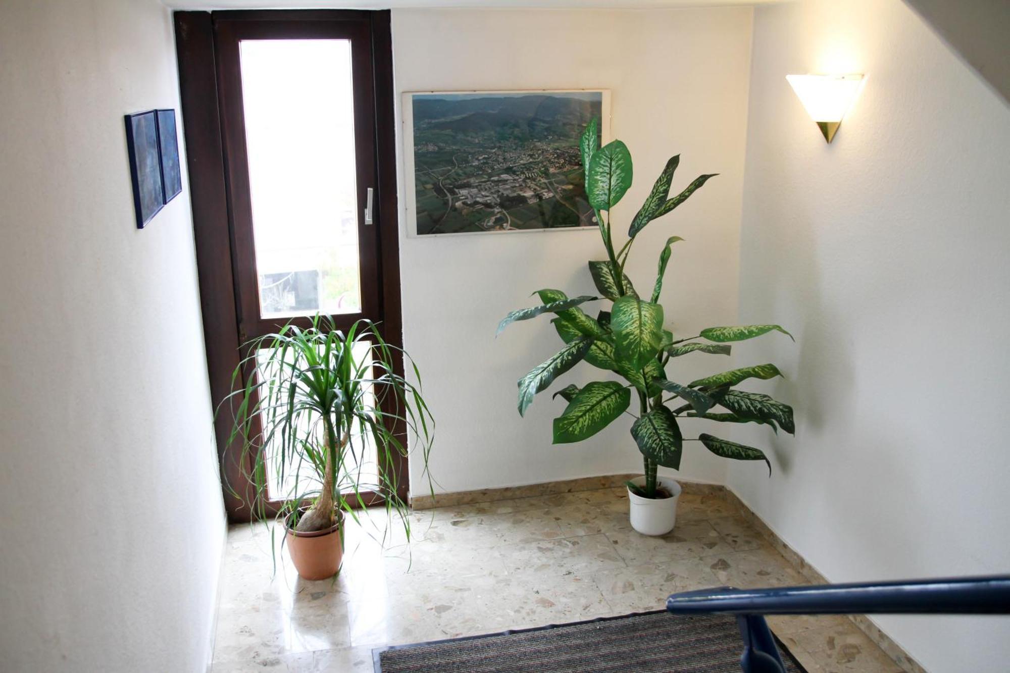 Hotel Garni Italia Bühl Екстериор снимка