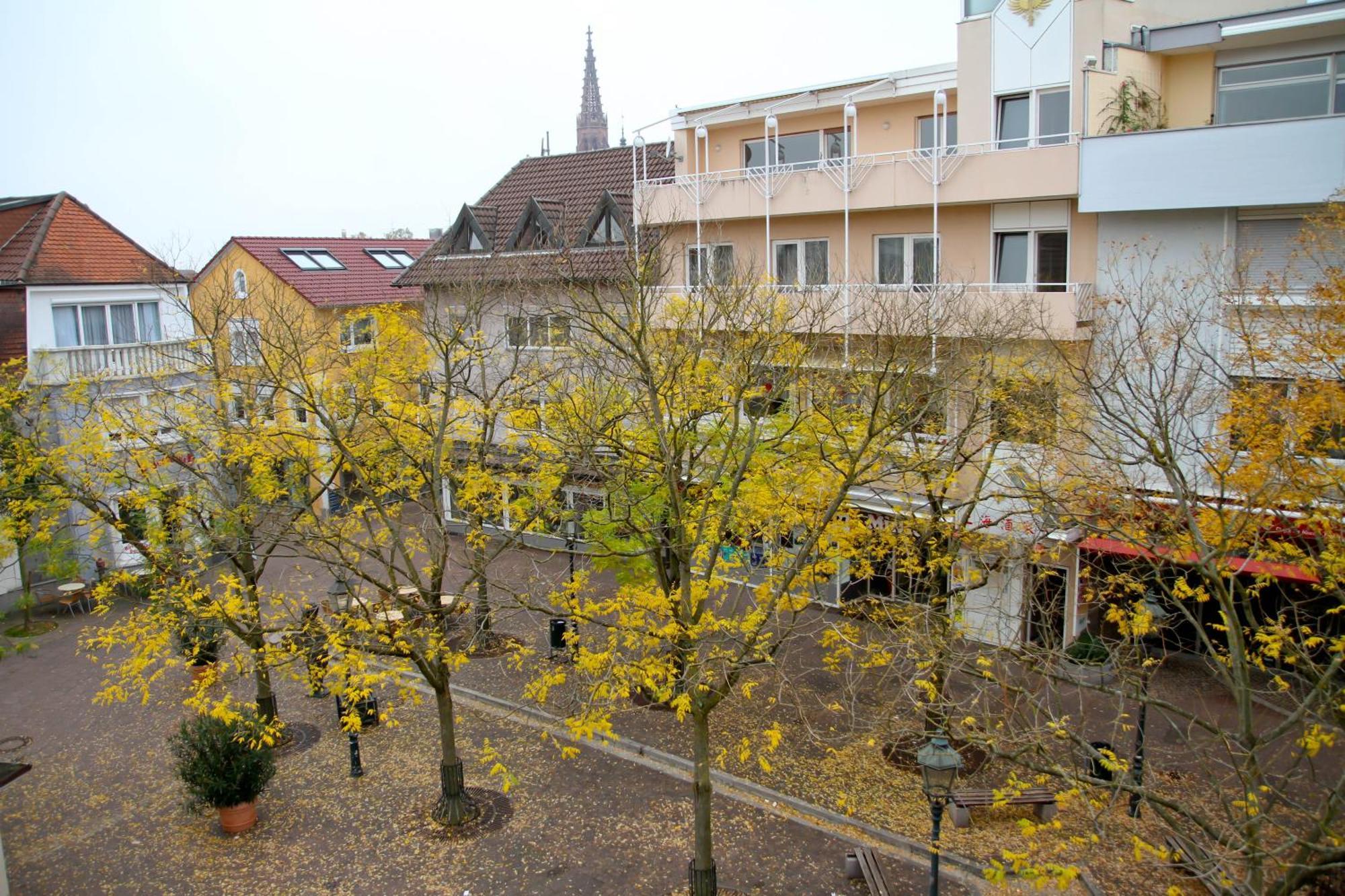 Hotel Garni Italia Bühl Екстериор снимка